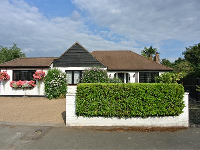 Picture 23